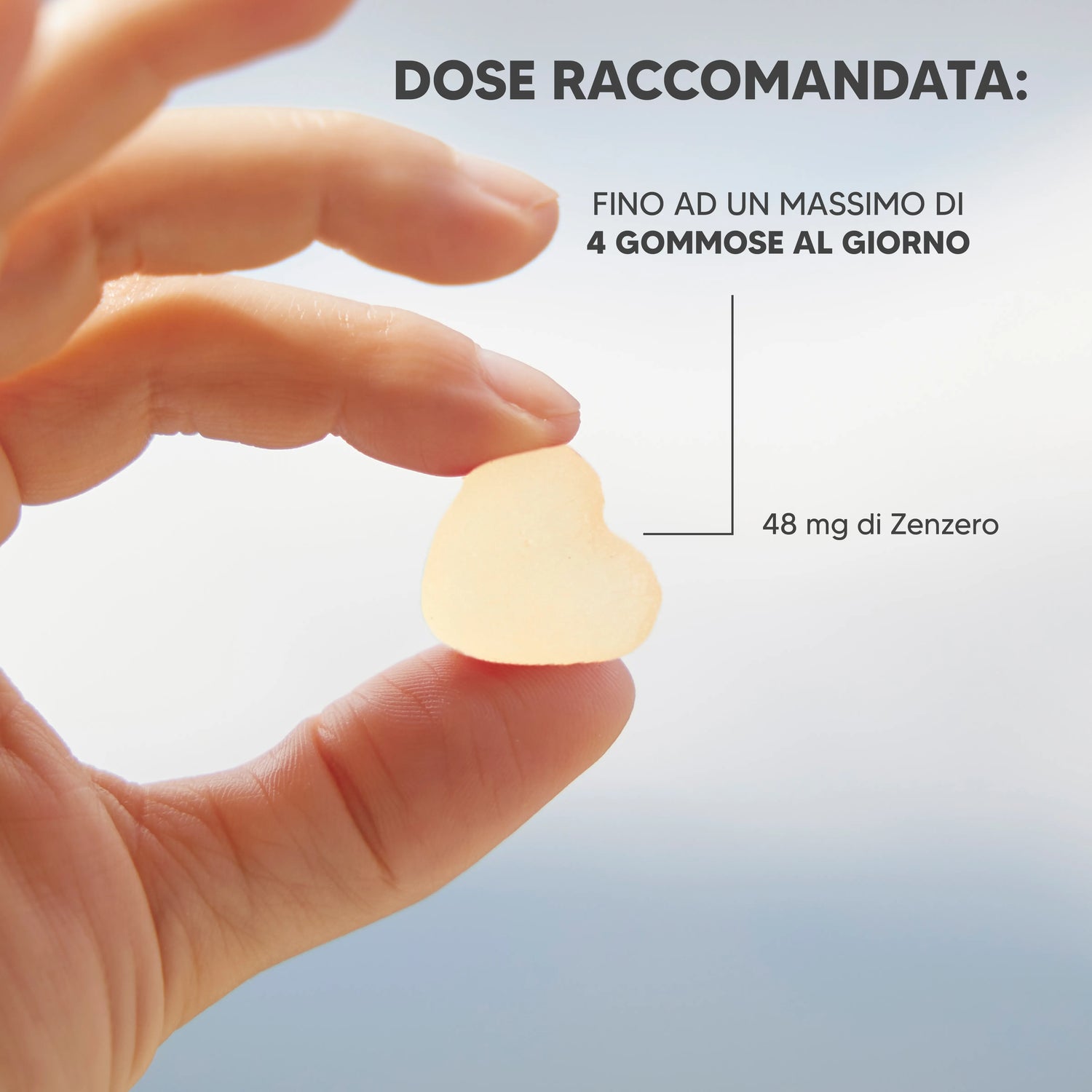 Gummyvit Ginger - per digestione e gas in eccesso